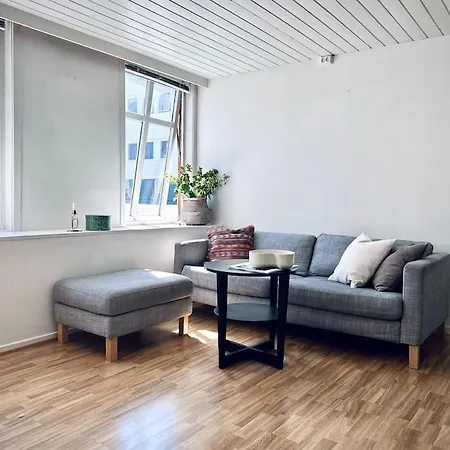 Supersentralt, Lyst Og Romslig Apartman