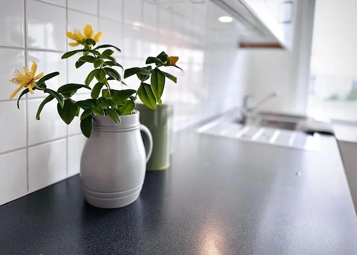 Apartament Supersentralt, Lyst Og Romslig